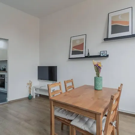 Ruime In Centrum Voor 4